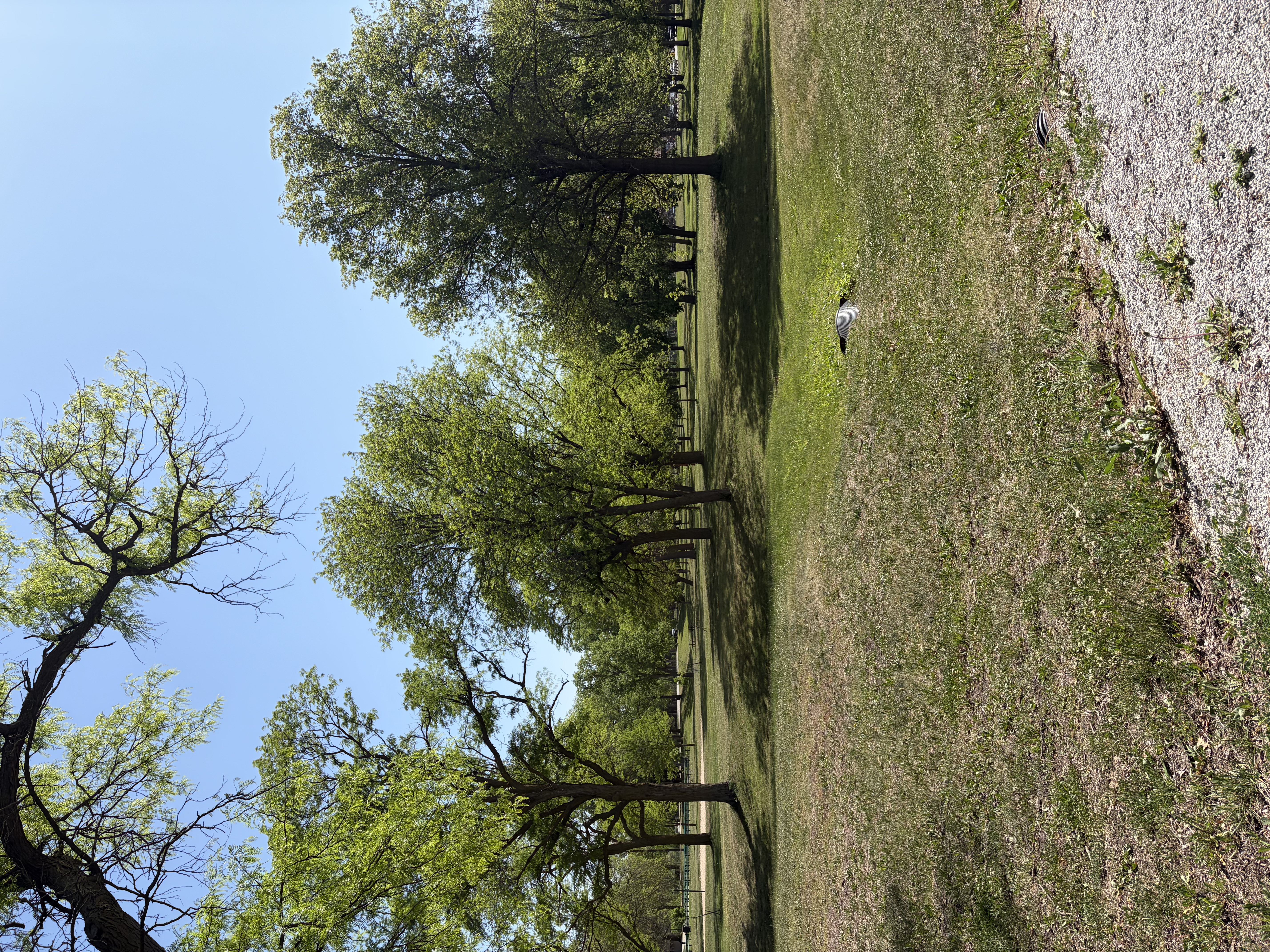 pioneers park