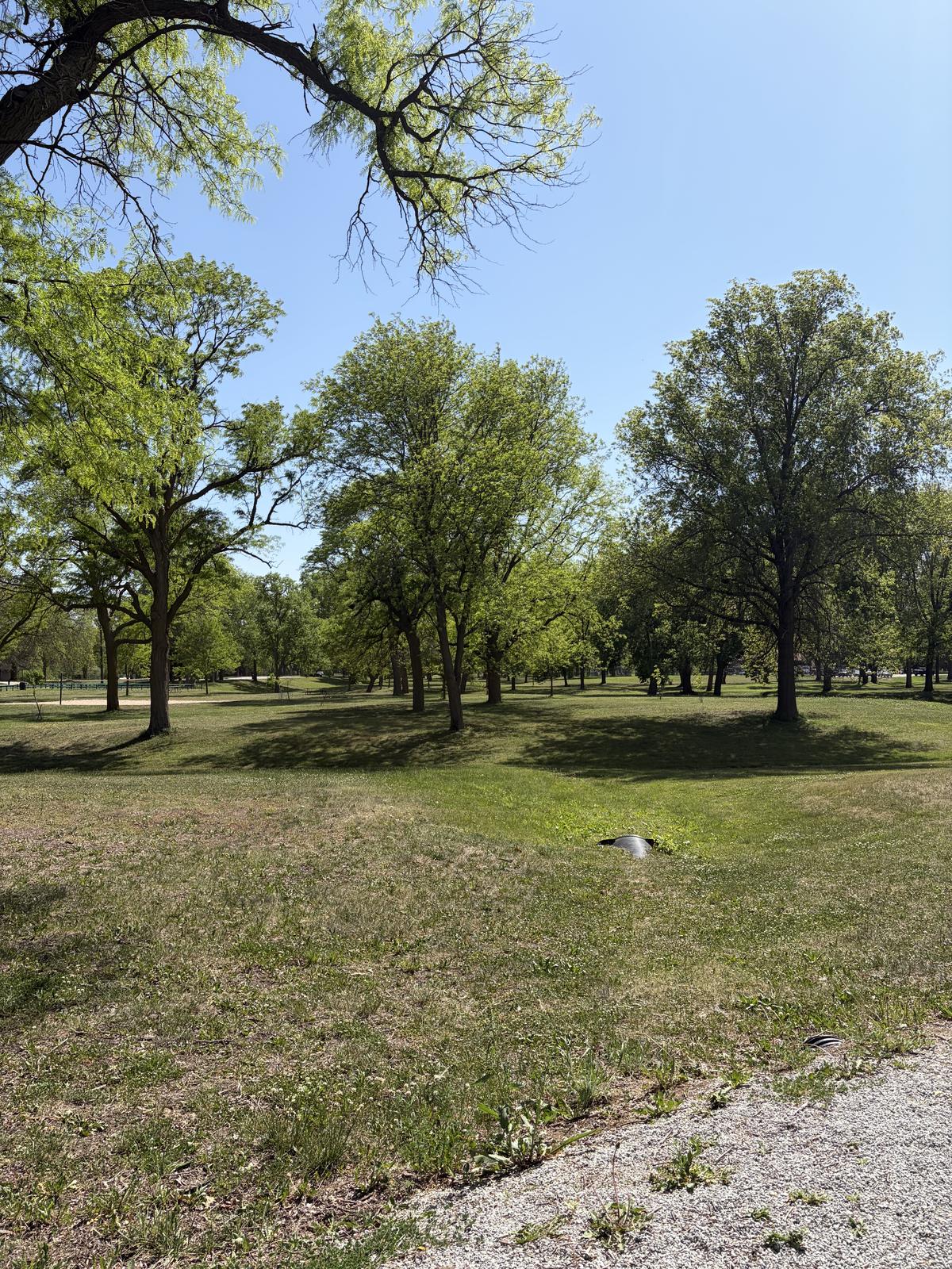 pioneers park